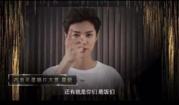 王伊泽爆料视频大全集下载,揭秘幕后真相与精彩瞬间